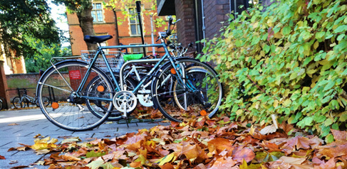 HR Autumn in Cambridge_10677911096_o.jpg